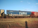 RUMO HTT-350367-4
